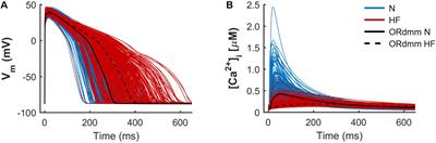 Ca2+ Cycling Impairment in Heart Failure Is Exacerbated by Fibrosis: Insights Gained From Mechanistic Simulations